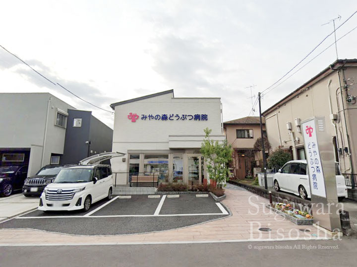 みやの森どうぶつ病院 様　プレミアムLEDバックライト　新規開業実績5