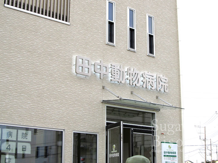動物病院様 プレミアムLEDバックライト 新規開業実績3