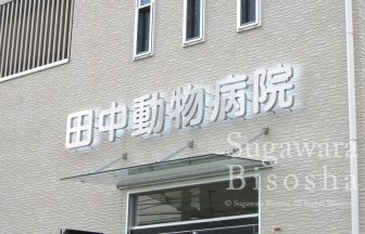動物病院様 プレミアムLEDバックライト 新規開業実績